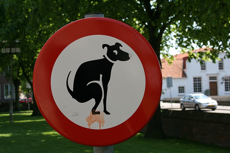 Bad Kissingen 2008 682